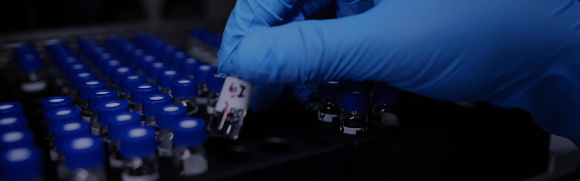 服務(wù)領(lǐng)域