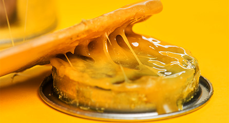 膠水小樣調(diào)試