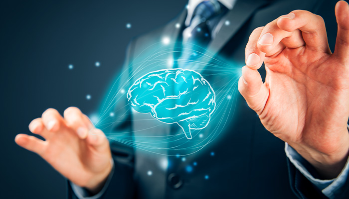 知識(shí)產(chǎn)權(quán)