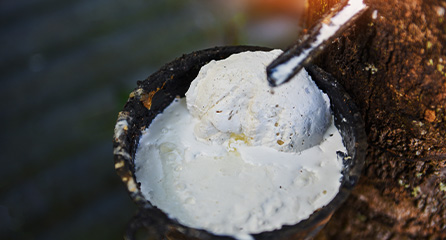 橡膠深度特需分析